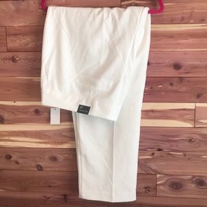 The Limited Dress Pants